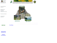 Tablet Screenshot of dip-foreste.provincia.tn.it